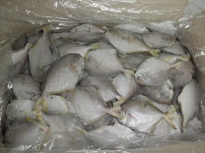 黑龙江水产品批发与加盟指南 聚焦哈尔滨畅达水产的产业优势