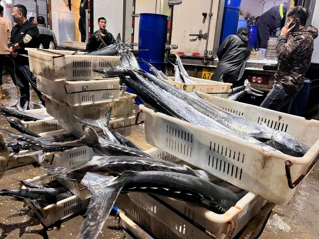 封海前最后一船海鲜抵达城阳水产批发市场，鲅鱼仍唱主角