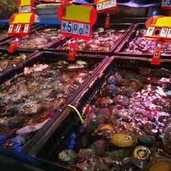 融合与创新 成都农产品中心批发市场海水产交易区的日用百货销售新业态