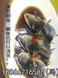 探寻可靠的水产品批发货源 保障供应链的稳定与品质