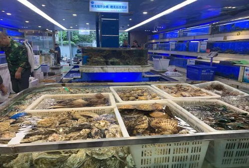 探秘中国最知名的32个海鲜市场 从捕捞到餐桌的味觉之旅与日用百货销售之魅