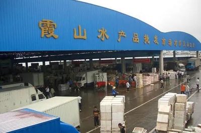 我国主要水产品批发市场一览｜助力水产人囤货不踩雷