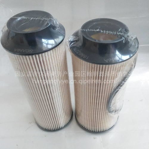 水产品批发市场 从源头到餐桌的鲜活之道