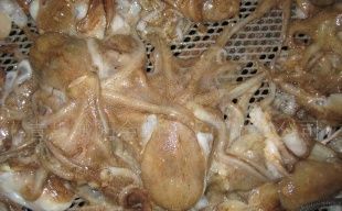 昆山市张浦镇菊新水产冷冻批发部 连接全球的水产品批发枢纽