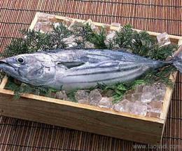 探寻可靠源头 水产品批发优质货源与供应信息全攻略