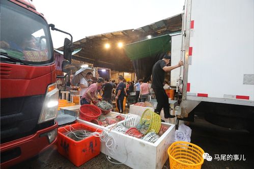 普惠金融推进月 活水涌向水产与百货，农批贷精准纾困解难题