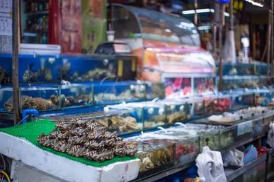 十万“水军”昼夜不息的传奇谢幕 全国最大水产品批发市场的搬迁与日用百货销售的转型