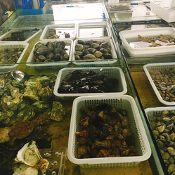 成都农产品中心批发市场海水产交易区信息指南